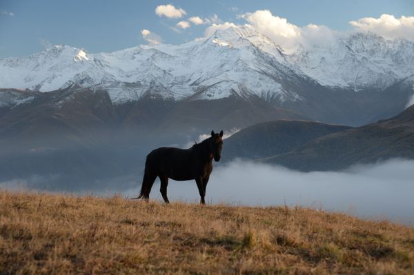 Golden Season: Autumn Across Russia Golden Season: Autumn Across Russia - Sputnik International