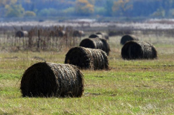 Golden Season: Autumn Across Russia Golden Season: Autumn Across Russia - Sputnik International