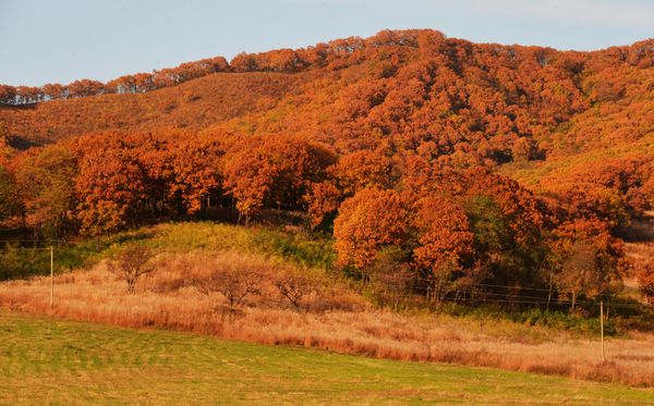 Golden Season: Autumn Across Russia Golden Season: Autumn Across Russia - Sputnik International