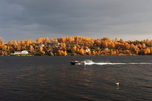 Golden Season: Autumn Across Russia Golden Season: Autumn Across Russia - Sputnik International