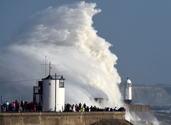 This Week in Pictures: October 14-20 - Sputnik International
