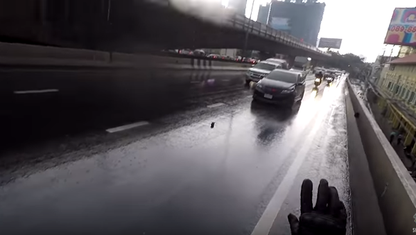 Thai Motorcyclist Rescues Kitten From Certain Death - Sputnik International