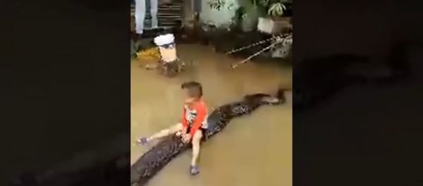 Anaconda and child - Sputnik International