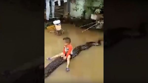 Anaconda and child Anaconda and child - Sputnik International