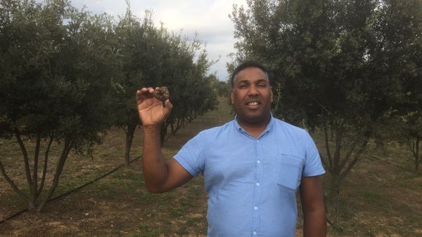 Martin Waddell, MD and founder of Truffle Farms Europe - Sputnik International