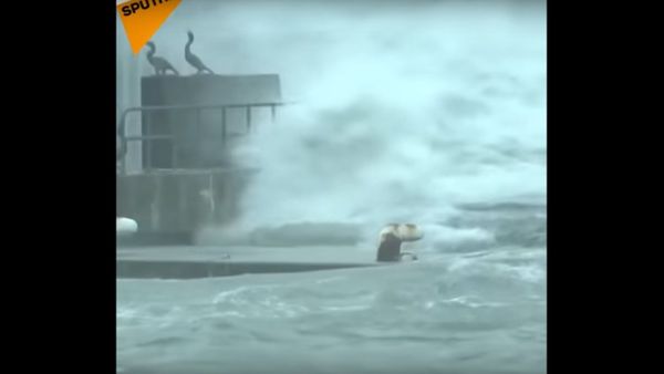 Typhoon Lan Prompts Mass Evacuation In Japan Typhoon Lan Prompts Mass Evacuation In Japan - Sputnik International
