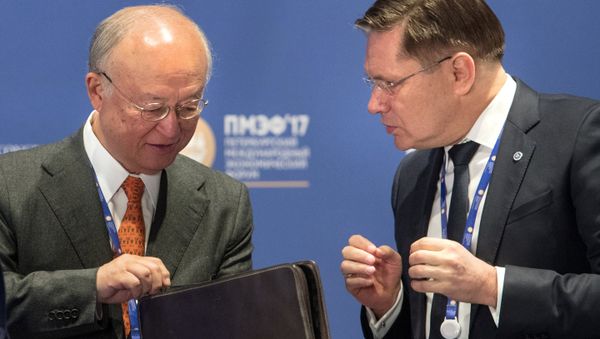 Alexei Likhachyov, right, General Director of the Rosatom State Corporation, and Yukiya Amano, Director General of the International Atomic Energy Agency, during the panel session, The Role of Nuclear in the Green Energy Mix, held as part of the 2017 St. Petersburg International Economic Forum Alexei Likhachyov, right, General Director of the Rosatom State Corporation, and Yukiya Amano, Director General of the International Atomic Energy Agency, during the panel session, The Role of Nuclear in the Green Energy Mix, held as part of the 2017 St. Petersburg International Economic Forum - Sputnik International