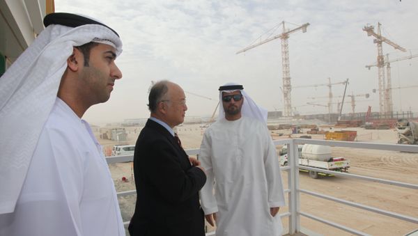 Barakah nuclear power plant construction. (File) Barakah nuclear power plant construction. (File) - Sputnik International