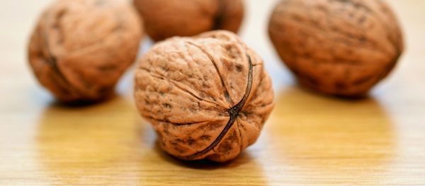 Walnuts Walnuts - Sputnik International