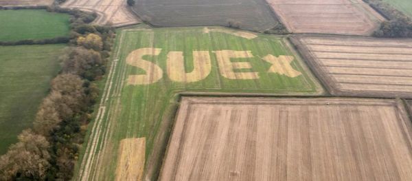 Murray Graham spelled the letters out by spraying weedkiller on the field Murray Graham spelled the letters out by spraying weedkiller on the field - Sputnik International