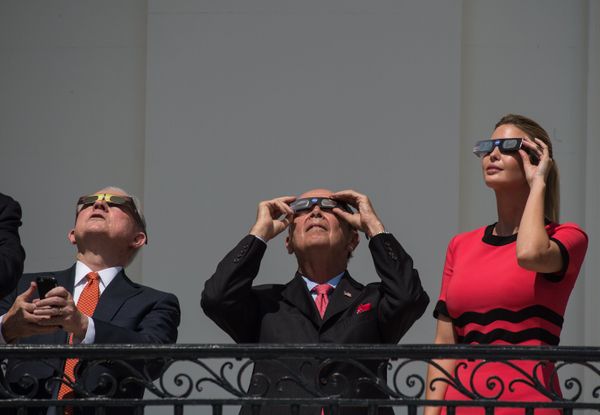 Haute Couture or Ivanka Trump's Elegant Style - Sputnik International