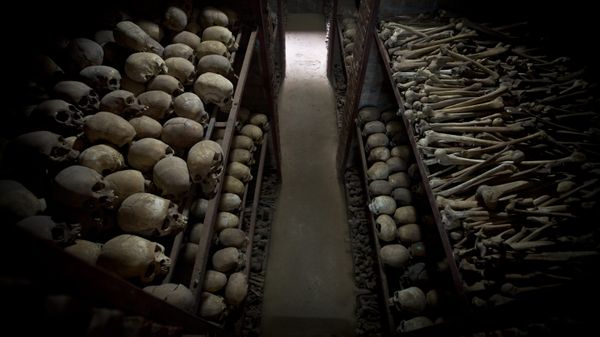 The skulls and bones of some of those who were slaughtered as they sought refuge inside the church, are laid out on shelves in an underground vault as a memorial to the thousands who were killed in and around the Catholic church during the 1994 genocide in Nyamata, Rwanda, Friday, April 4, 2014 The skulls and bones of some of those who were slaughtered as they sought refuge inside the church, are laid out on shelves in an underground vault as a memorial to the thousands who were killed in and around the Catholic church during the 1994 genocide in Nyamata, Rwanda, Friday, April 4, 2014 - Sputnik International