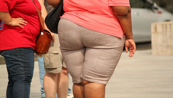 Overweight women - Sputnik International