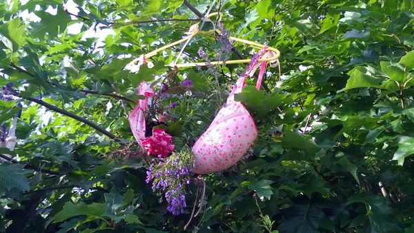 Bra on a tree Bra on a tree - Sputnik International