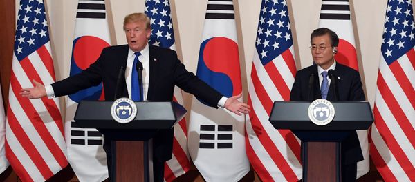 U.S. President Donald Trump gestures as he speaks during a joint press conference with South Korea's President Moon Jae-in at the presidential Blue House in Seoul, South Korea U.S. President Donald Trump gestures as he speaks during a joint press conference with South Korea's President Moon Jae-in at the presidential Blue House in Seoul, South Korea - Sputnik International