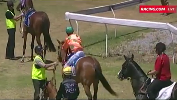 Dylan Caboche has been banned from racing for two weeks after punching his horse - Sputnik International