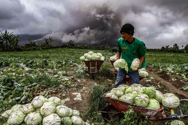 This Week in Pictures (November 4-10) - Sputnik International