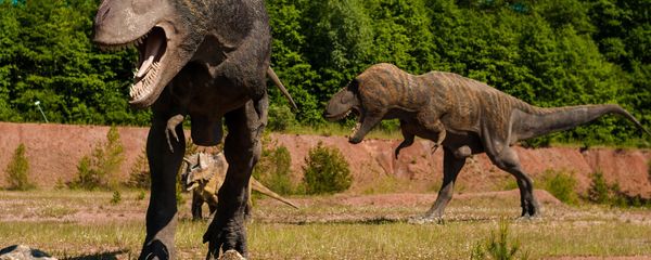 Dinosaurs - Sputnik International