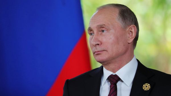 Russian President Vladimir Putin attends a briefing for reporters at the end of the APEC summit in Danang, Vietnam November 11, 2017. - Sputnik International