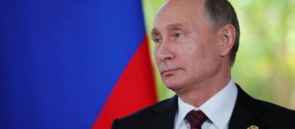 Russian President Vladimir Putin attends a briefing for reporters at the end of the APEC summit in Danang, Vietnam November 11, 2017. - Sputnik International
