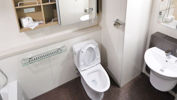 Toilet - Sputnik International