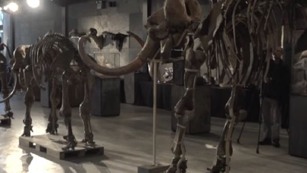 A Mammoth of a Family - Sputnik International