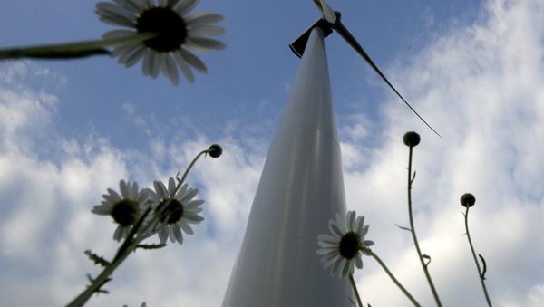 A wind turbine, part of the Lost Creek Wind Farm, stands above a field of daises Thursday, June 1, 2017, near King City, Mo. President Trump announced on Thursday that the United States would withdraw from the Paris climate accord, raising some doubt on the future of renewable sources of energy like wind and solar. - Sputnik International