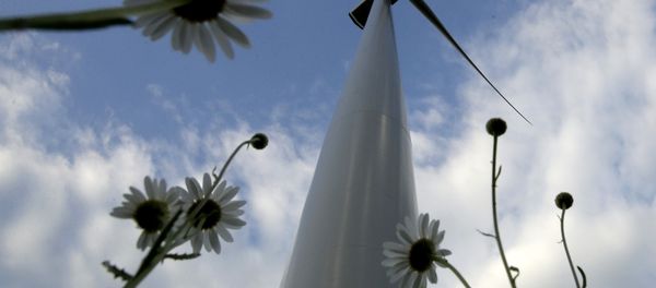 A wind turbine, part of the Lost Creek Wind Farm, stands above a field of daises Thursday, June 1, 2017, near King City, Mo. President Trump announced on Thursday that the United States would withdraw from the Paris climate accord, raising some doubt on the future of renewable sources of energy like wind and solar. A wind turbine, part of the Lost Creek Wind Farm, stands above a field of daises Thursday, June 1, 2017, near King City, Mo. President Trump announced on Thursday that the United States would withdraw from the Paris climate accord, raising some doubt on the future of renewable sources of energy like wind and solar. - Sputnik International