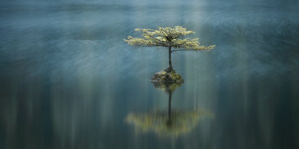 Breathtaking! Best Panoramic Pictures of EPSON Int'l Pano Awards Breathtaking! Best Panoramic Pictures of EPSON Int'l Pano Awards - Sputnik International