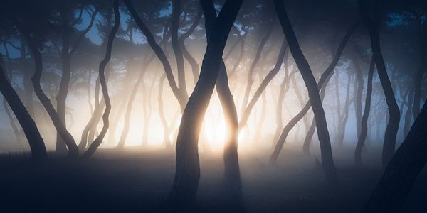 Breathtaking! Best Panoramic Pictures of EPSON Int'l Pano Awards Breathtaking! Best Panoramic Pictures of EPSON Int'l Pano Awards - Sputnik International