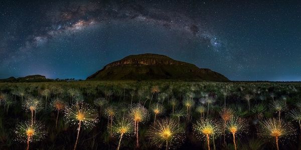 Breathtaking! Best Panoramic Pictures of EPSON Int'l Pano Awards Breathtaking! Best Panoramic Pictures of EPSON Int'l Pano Awards - Sputnik International