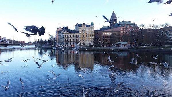 Norrköping Norrköping - Sputnik International