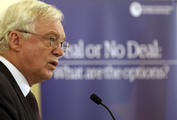 British Secretary of State for Exiting the European Union David Davis speaks to the ECR Deal or No Deal conference in Central Hall Westminster, London, Tuesday Nov. 21, 2017. British Secretary of State for Exiting the European Union David Davis speaks to the ECR Deal or No Deal conference in Central Hall Westminster, London, Tuesday Nov. 21, 2017. - Sputnik International
