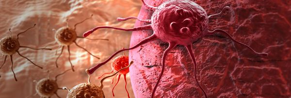Advanced Science Against Cancer: Russian Scientists Pushing the Envelope Advanced Science Against Cancer: Russian Scientists Pushing the Envelope - Sputnik International