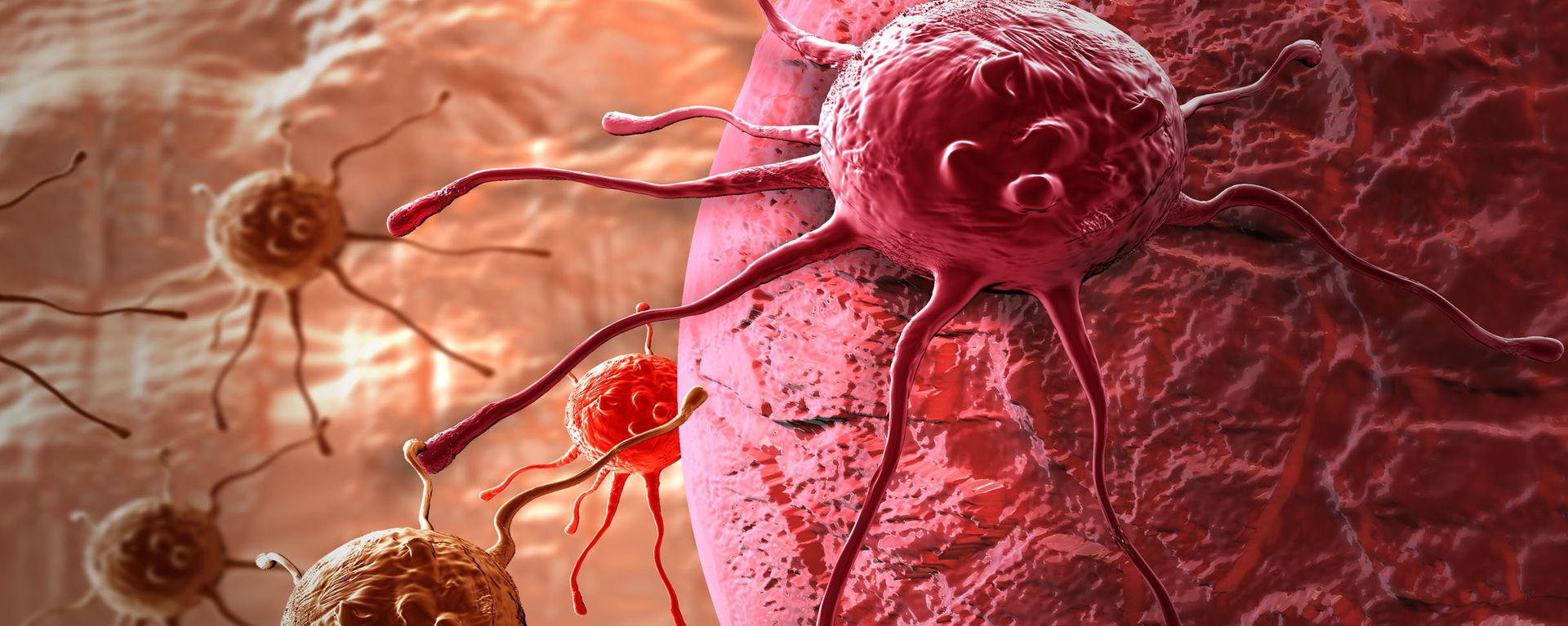 Cancer cell - Sputnik International, 1920, 02.06.2023