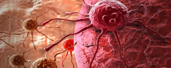 Cancer cell Cancer cell - Sputnik International
