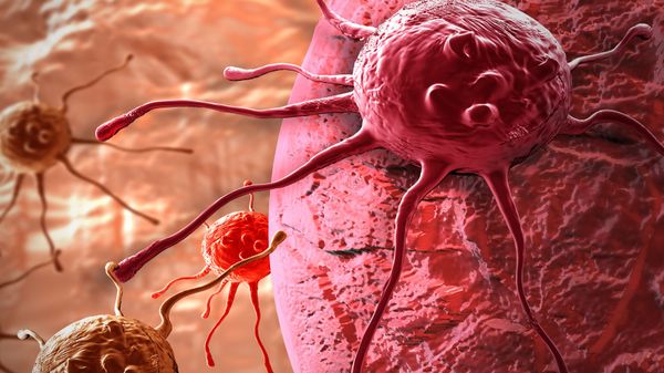 Cancer cell - Sputnik International