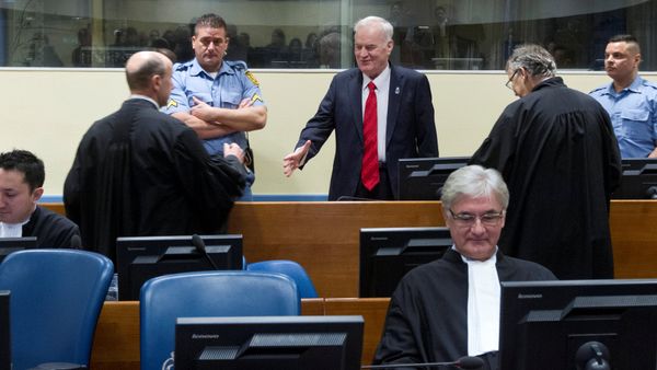 Ex-Bosnian Serb wartime general Ratko Mladic appears in court at the International Criminal Tribunal for the former Yugoslavia (ICTY) in the Hague, Netherlands November 22, 2017 - Sputnik International