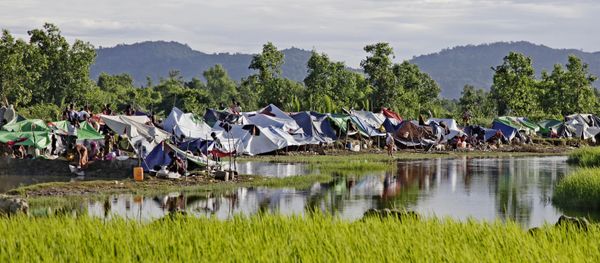 Rohingya refugees in Bangladesh - Sputnik International