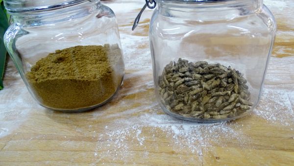 Flour ground from dried crickets and crickets in jars, for the first mass-delivered bread made of insects, are seen at the Finnish food company Fazer bakery in Helsinki, Finland November 23, 2017 - Sputnik International