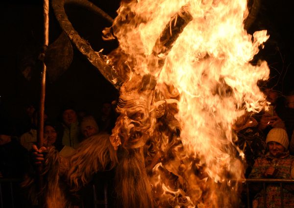 This Week in Pictures (November 18-24) This Week in Pictures (November 18-24) - Sputnik International