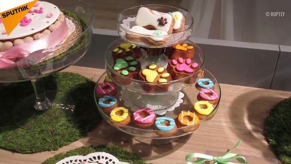 Doggy treats? This Bakery Offers Doggy Cakes! - Sputnik International