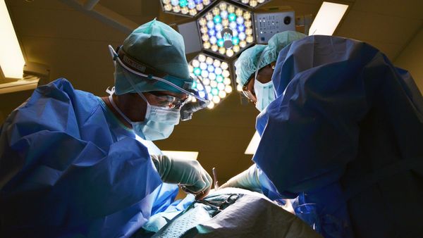 Surgeons - Sputnik International