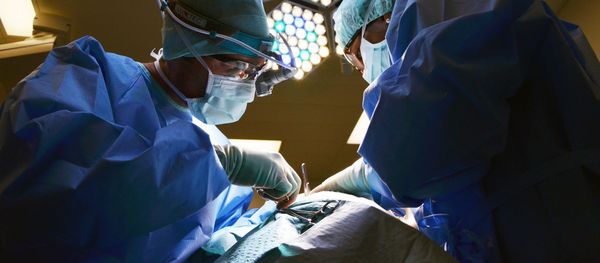 Surgeons Surgeons - Sputnik International