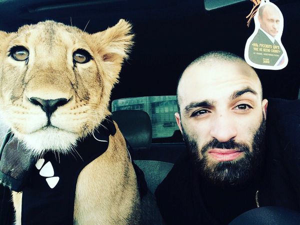 The Lioness Legend The Lioness Legend - Sputnik International