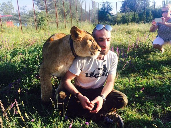 The Lioness Legend The Lioness Legend - Sputnik International