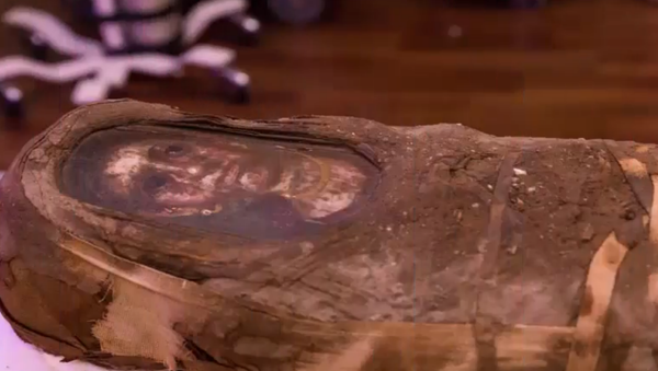 New details emerge following CT scan of Hibbard Mummy - Sputnik International