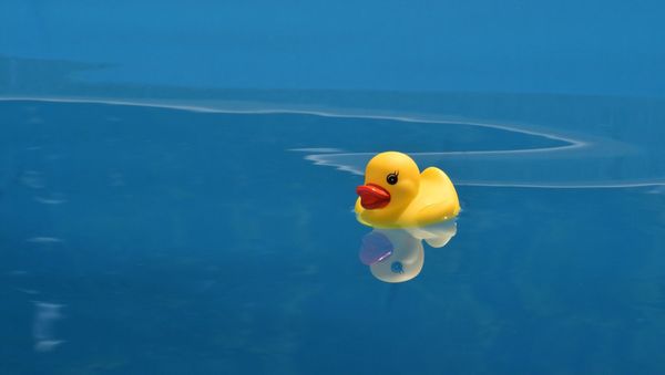 Rubber duck - Sputnik International
