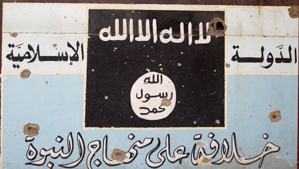 A picture shows a mural depicting the emblem of the Islamic State (IS) group as Iraqi forces, backed by fighters from the Hashed al-Shaabi (Popular Mobilisation units), advance through Hawija on October 5, 2017, after retaking the city from Islamic State (IS) group fighters. - Sputnik International