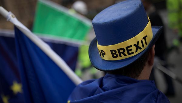 An Anti-Brexit protestor's hat displays the words 'Stop Brexit' as he stands outside the Houses of Parliament in London, Britain December 5, 2017. An Anti-Brexit protestor's hat displays the words 'Stop Brexit' as he stands outside the Houses of Parliament in London, Britain December 5, 2017. - Sputnik International